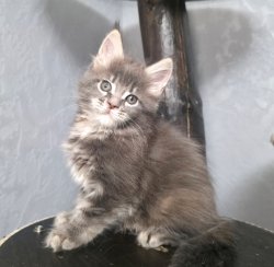 2 месяца